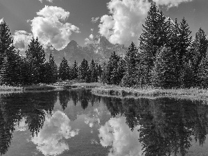 Spruces, trees, reflection, viewes, lake, clouds, Mountains