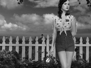 fence, Sky, on the Stick, clouds, Katy Perry, Lollipop, Flowers
