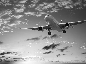 plane, Sky, clouds, flight