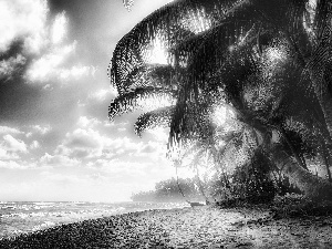 clouds, Beaches, sea