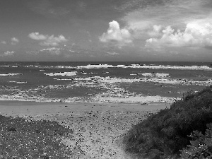 sea, Waves, clouds, Beaches