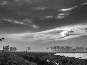 River, Windmill, clouds, Przebijające, luminosity, Fog, sun, flash, ligh