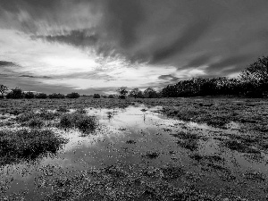 clouds, Meadow, trees, viewes, Great Sunsets, swamp