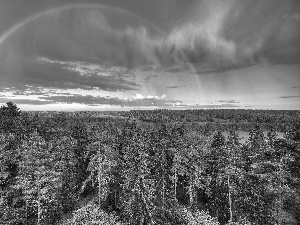 woods, Great Rainbows, clouds, medows