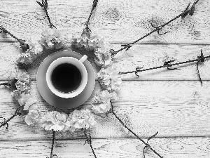 Pink, cloves, tea, Flowers, cup