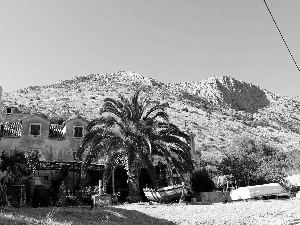 Mountains, Palm, Coartia, house