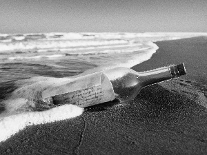 Bottle, Coast