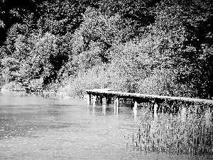 lake, woody, coast, Platform