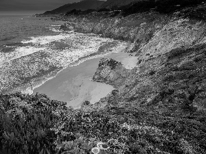 sea, Julia Pfeiffer Burns State Park, Beaches, Coast, California, The United States, VEGETATION, Flowers, rocks