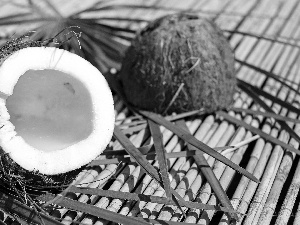 Coconut, sectioned