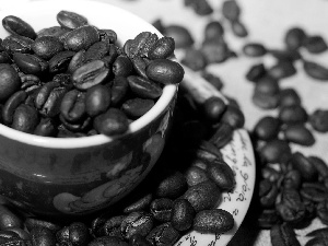 saucer, grains, coffee, cup