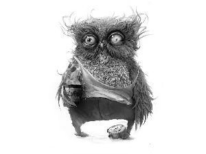 coffee, owl, Slippers