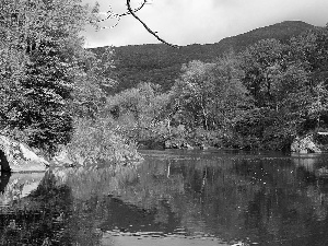 color, Leaf, trees, viewes, River