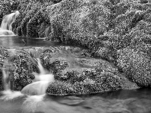 color, Leaf, mossy, rocks, waterfall