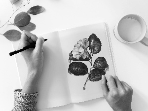 hands, Cup, Drawing, Colourfull Flowers, Fascilice
