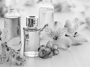 Alstroemeria, composition, Bottles, Flowers, perfume