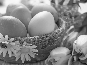 Tulips, basket, composition, Easter, ladybird, eggs