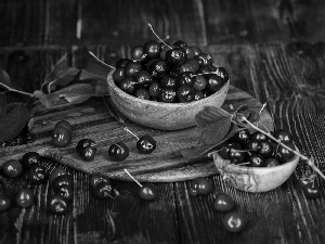 Fruits, Bowls, composition, Leaf