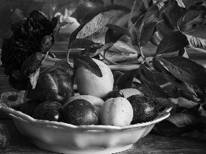 composition, still life, apricots, peony, plums