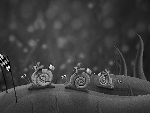 Snails, contest