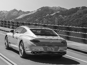 coupe, silver, Bentley Continental GT V8