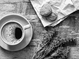 coffee, lavender, Cookies, cup