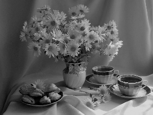 daisy, tea, Cookies, cups