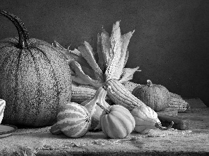 corn, composition, pumpkin