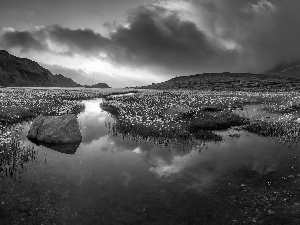 pool, Swiss Alps, clouds, Flowers, Mountains, Switzerland, Sky, Common Cottongrass, medows, River