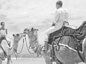 Young couple, sea, marriage, Camels