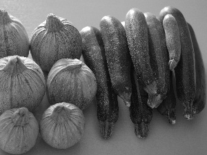 Squashes, green ones, Courgettes