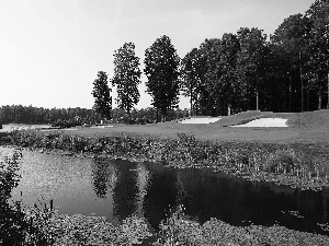 Bush, River, Course, summer, field, woods