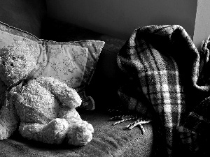 teddy bear, pillows, coverlet, White Bed