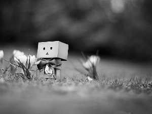 Spring, Lawn, crocuses, Danbo