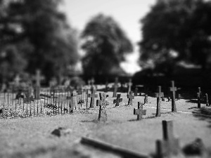 cemetery, Cross