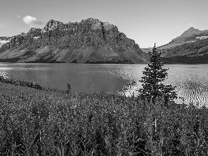 Province of Alberta, Canada, Banff National Park, Crowfoot Mountain, viewes, Sunrise, Flowers, trees, Bow Lake