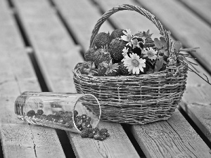 cup, Flowers, strawberries, Strawberries, basket