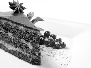 Currant, cake, chocolate