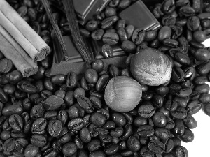 cuts, chocolate, coffee, nuts, grains