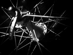 the spokes, circle, cycling