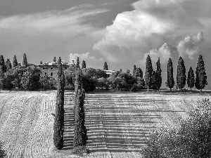 field, house, clouds, Way, Tuscany, cypresses, shadows