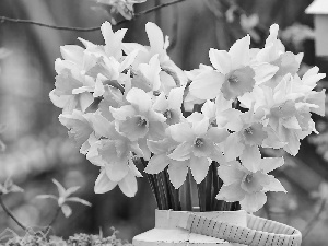 Flowers, Yellow, bouquet, Daffodils