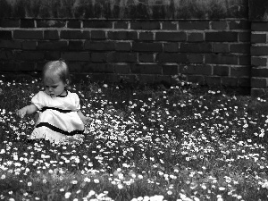 grass, girl, wall, dress, small, daisies, brick