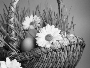 Easter, eggs, daisy, basket