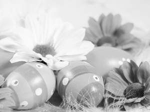 daisy, easter, eggs