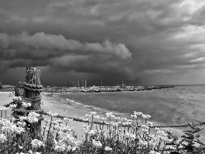 sea, clouds, daisy, dark