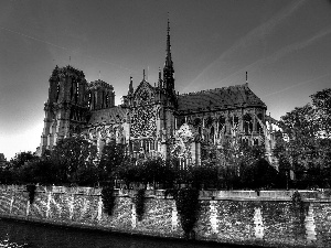 chair, Notre Dame