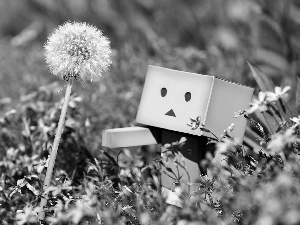 Flowers, Meadow, Danbo, Pink, summer, dandelion, blur