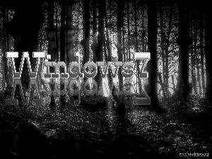 forest, Windows 7, dark
