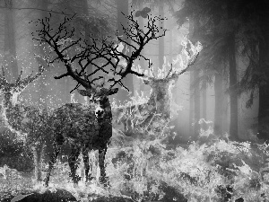 Deer, graphics, water, forest, Big Fire, fantasy